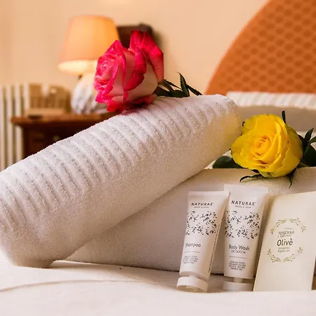 Gæstehus Socini Siena