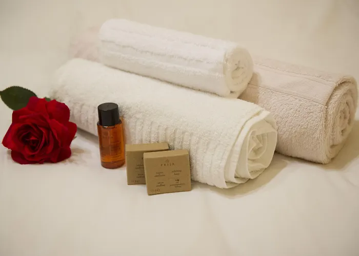 招待所 索奇尼别墅旅馆