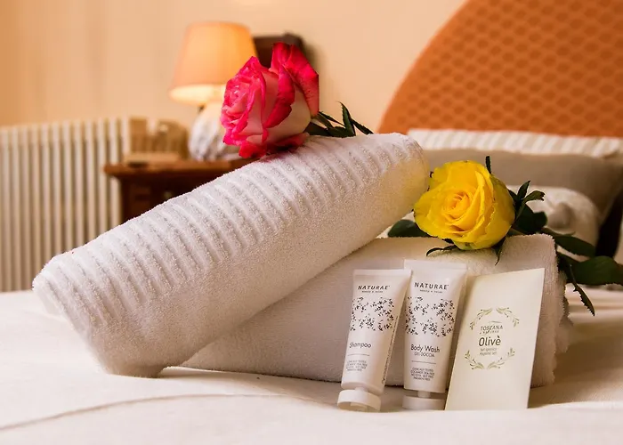 招待所 索奇尼别墅旅馆 锡耶纳